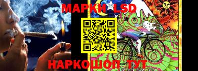 скорость Заводоуковск
