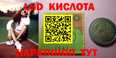 спайс Заволжье