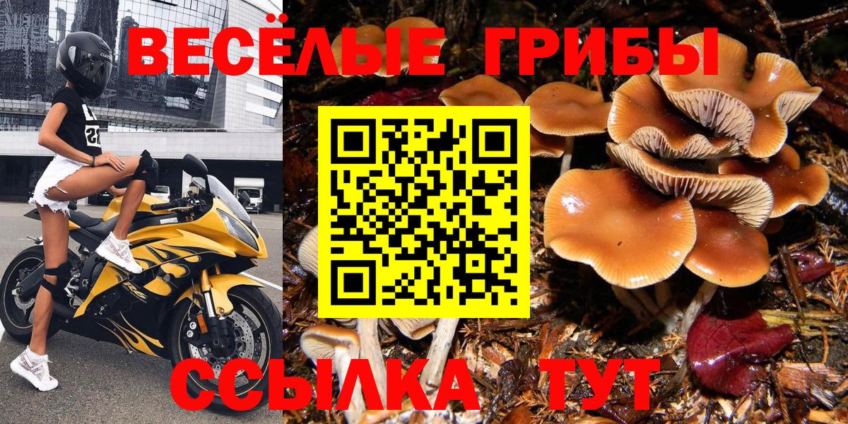 Псилоцибиновые грибы прущие грибы Нефтеюганск